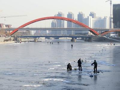 红桥天气预报10天查询，末来十天天气