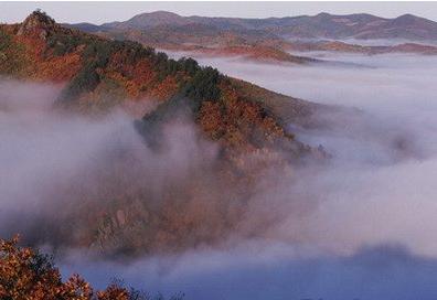 鸡西天气预报10天查询，末来十天天气