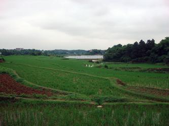 湘潭县天气预报10天查询