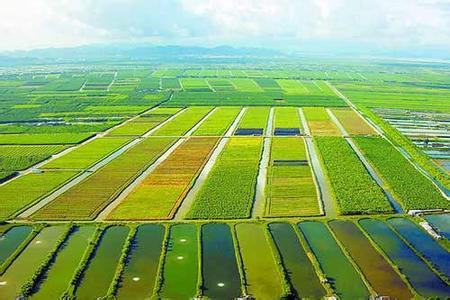 斗门天气预报10天查询