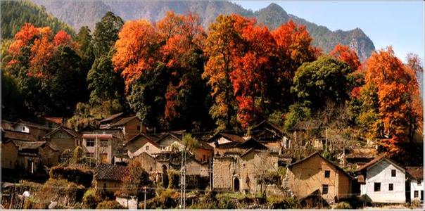 龙泉驿天气预报10天查询，末来十天天气
