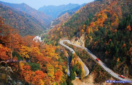 巴中天气预报10天查询，末来十天天气