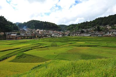 马关天气预报10天查询，末来十天天气