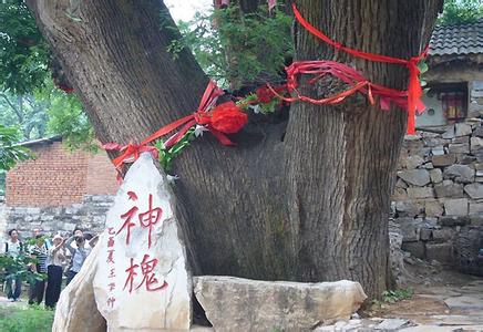 崇信天气预报10天查询，末来十天天气