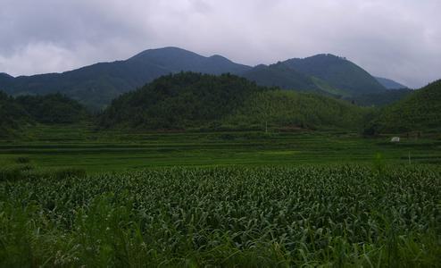 景宁天气预报30天查询,景宁县一个月天气