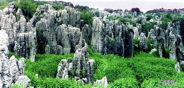 毕节天气预报30天查询,毕节地区一个月天气