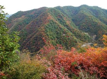 邢台临城天气预报_临城天气预报一周7天10天15天邢台临城天气预报,临城天气预报一周7天10天15天