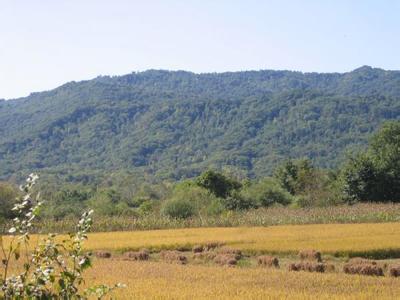 大同南郊天气预报_南郊天气预报一周7天10天15天大同南郊天气预报,南郊天气预报一周7天10天15天