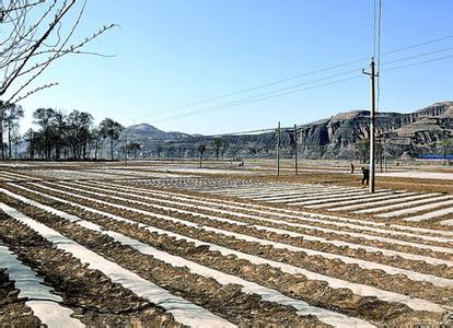 吕梁临县天气预报_临县天气预报一周7天10天15天吕梁临县天气预报,临县天气预报一周7天10天15天