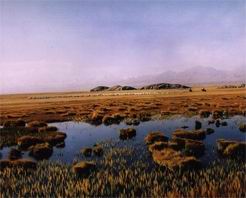 酒泉盐池湾