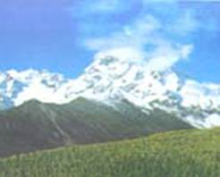 甘南郭札沟自然保护区