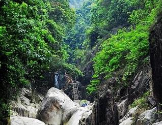 厦门野山谷