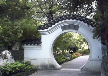 台湾华江桥雁鸭公园