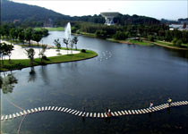 上海月湖雕塑公园天气