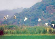 绍兴镜湖湿地公园天气