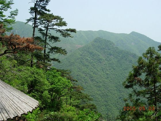 安吉龙王山天气