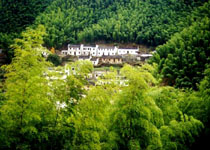 黄山距黟木坑天气