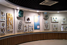 青岛海产博物馆