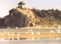 北戴河鸽子窝公园