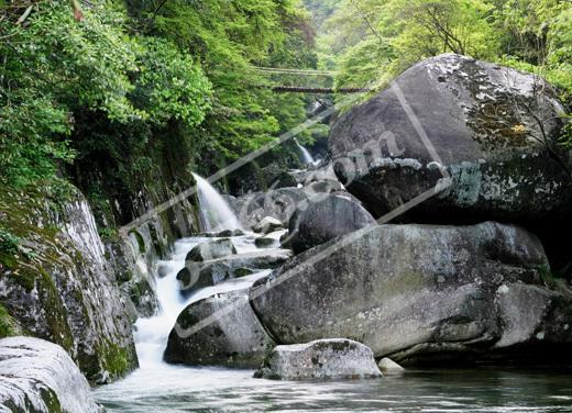 婺源大障山卧龙谷风景区