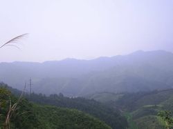 惠州古田自然保护区