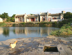 云浮大湾古民居建筑群