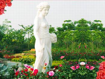 广州从化宝趣玫瑰世界