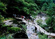 江夏青龙山森林公园
