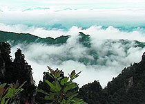 武昌天堂寨风景区