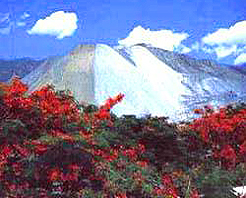 攀枝花兰家火山