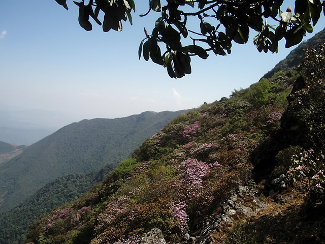 凉山龙肘山天气