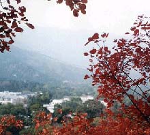 铜川香山天气