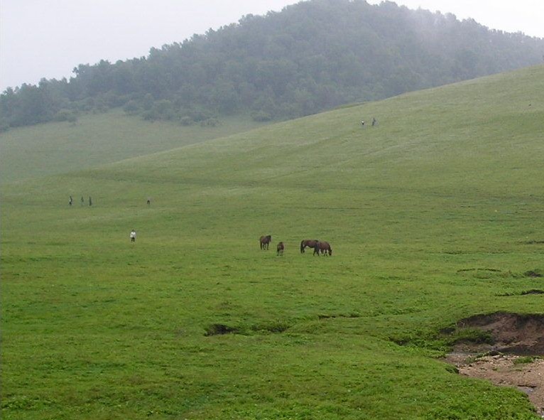 宝鸡关山牧场-龙泉山庄