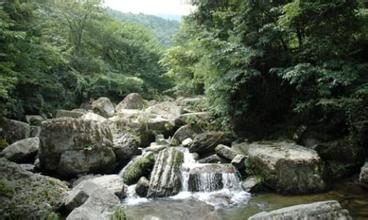 酉阳大板营天气