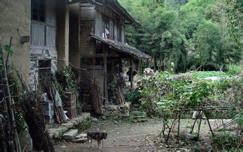 泰顺徐岙底古村落天气